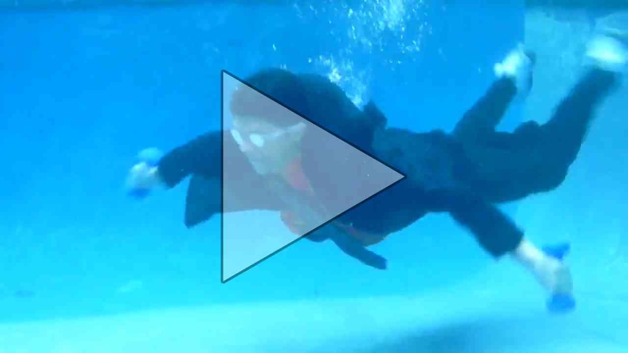 Rhett & Link - Phatdippin