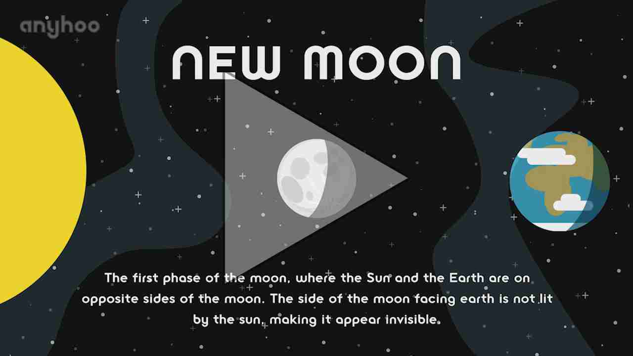 Anyhoo - Phases Of The Moon (Discovery)